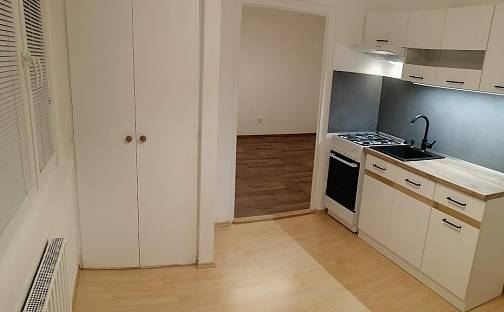 Pronájem bytu 1+1 37 m²
