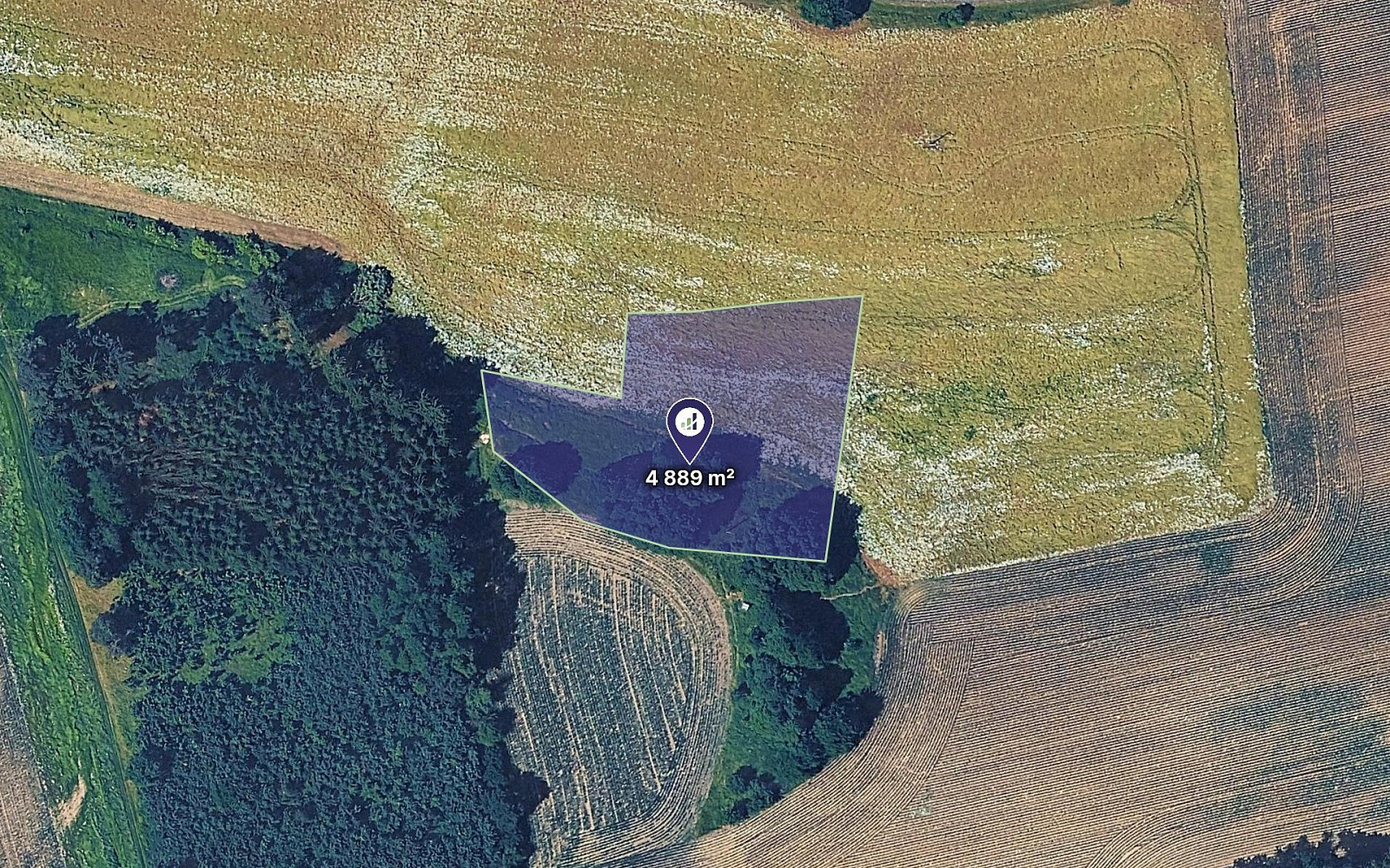 Prodej louky 4 889 m²