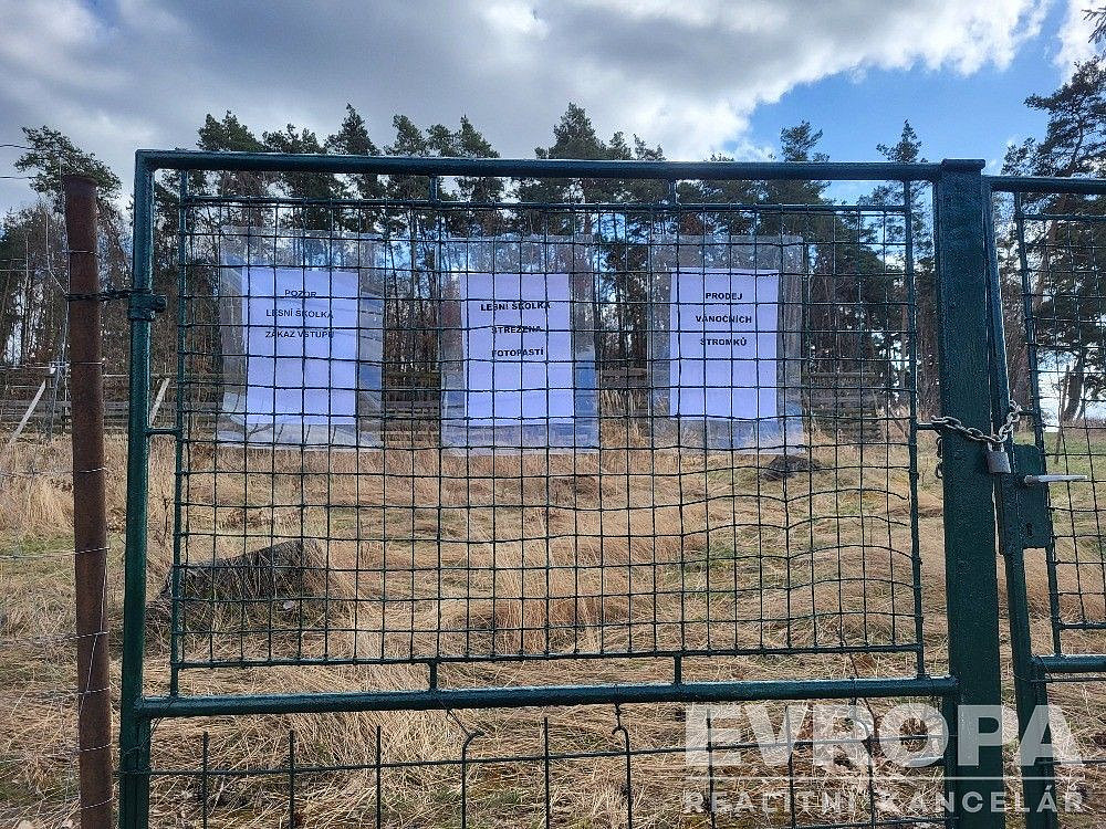 Prodej lesa 2 152 m² – fotografie 3