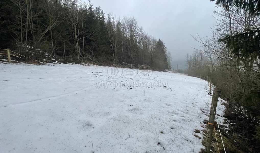 Prodej lesa 89 634 m², Řetová – náhled fotky 5