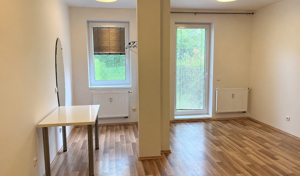 Pronájem bytu 1+kk 30 m², Jihlava – náhled fotky 3