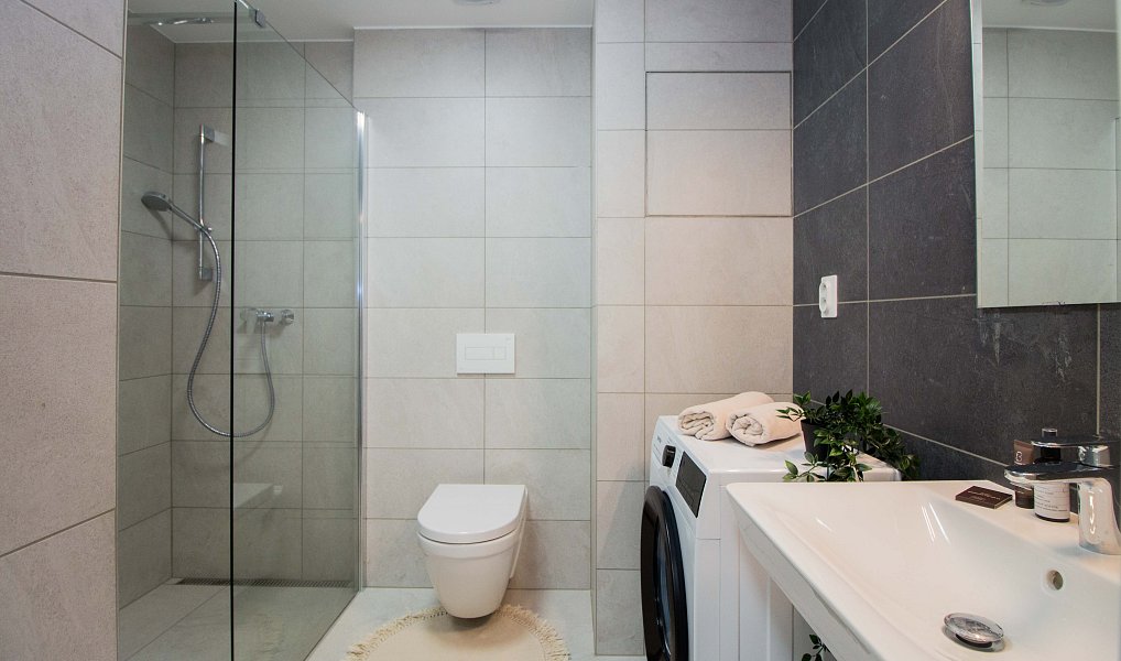 Pronájem bytu 1+kk 29 m², Brno – náhled fotky 13