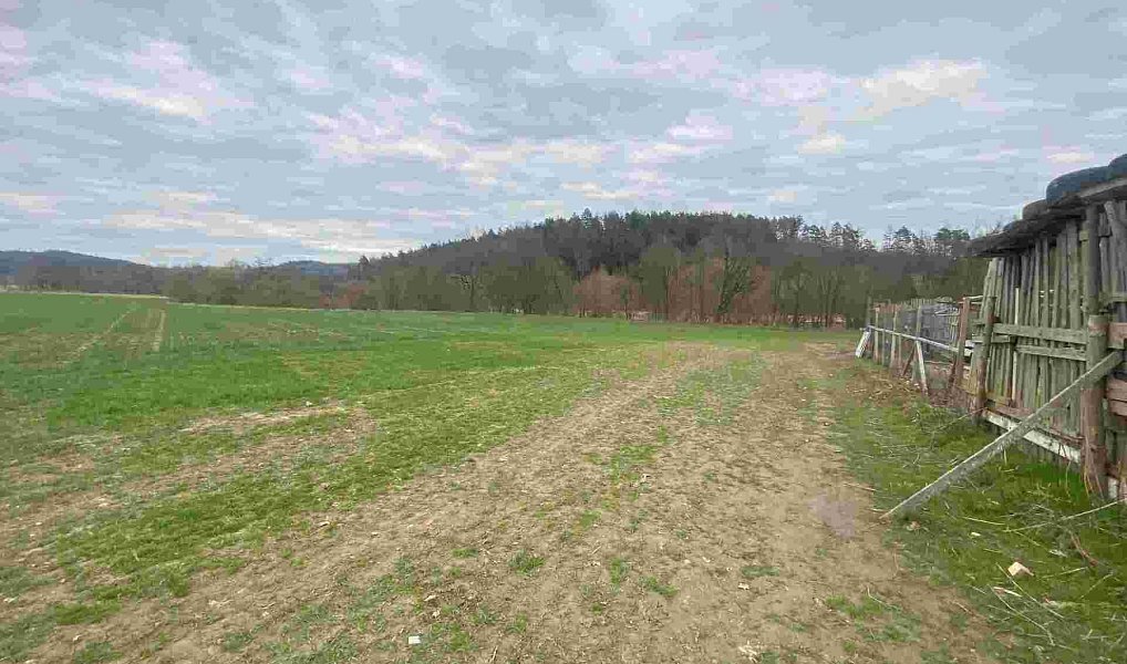 Prodej pozemku 4 837 m², Žinkovy – náhled fotky 3