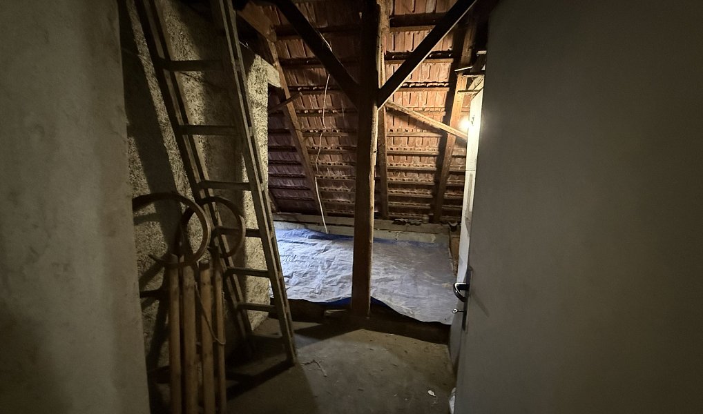 Prodej domu 198 m² s pozemkem 800 m², Kly – náhled fotky 29