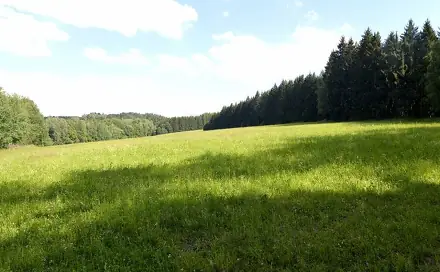 Prodej pole 47 177 m², Stará Paka, okres Jičín
