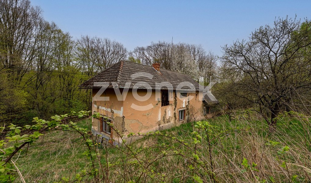 Prodej domu 210 m² s pozemkem 3 984 m², Březnice – náhled fotky 19
