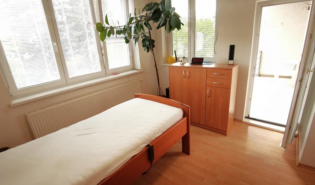 Prodej domu 252 m² s pozemkem 516 m², Brno – náhled fotky 11