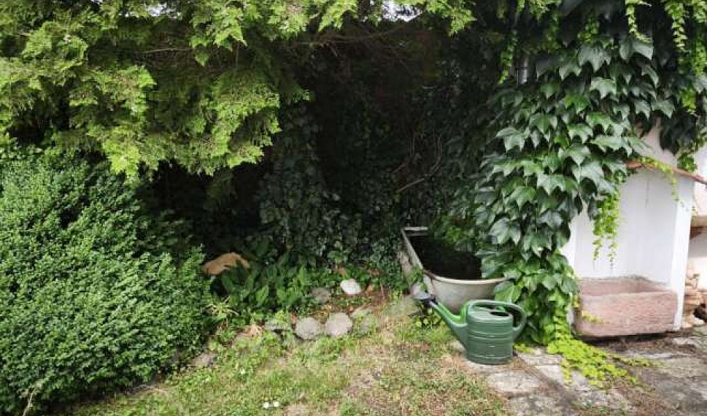 Prodej chalupy 120 m², Podbořany – náhled fotky 38