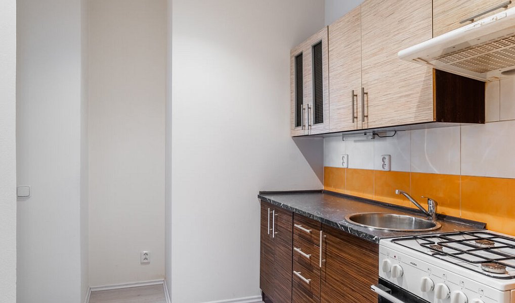 Pronájem bytu 1+1 35 m², Plzeň – náhled fotky 4