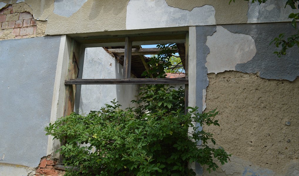 Prodej domu 134 m² s pozemkem 1 579 m², Dešná – náhled fotky 6
