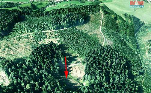 Prodej lesa 2 930 m², Lhota u Vsetína, okres Vsetín