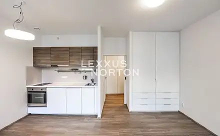 Pronájem bytu 1+kk 30 m²