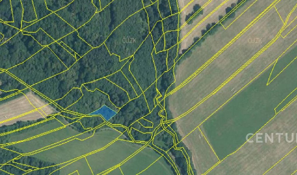 Prodej lesa 40 228 m², Nový Jičín – náhled fotky 10