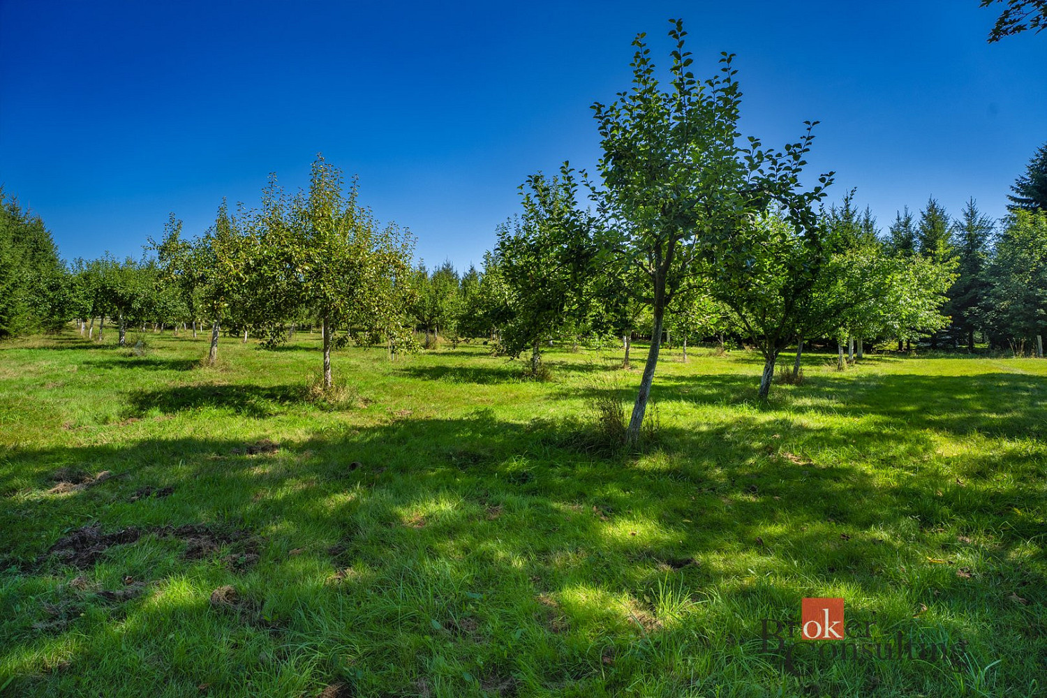 Prodej stavebního pozemku 12 049 m² – fotografie 3