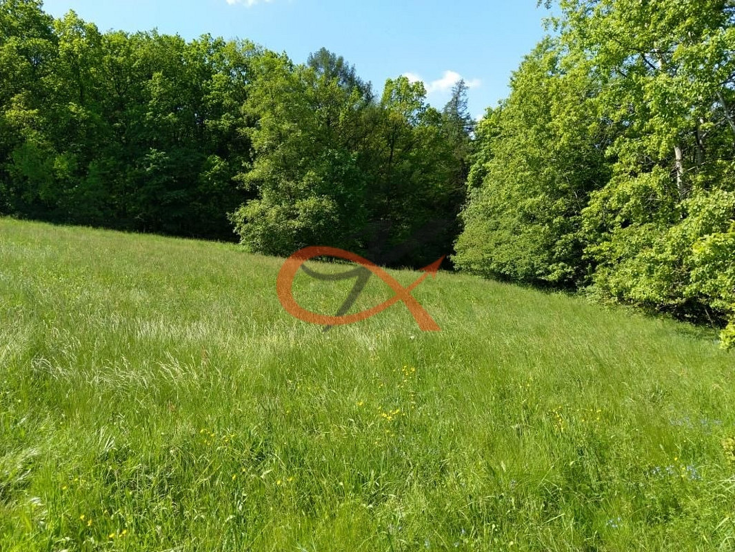 Prodej stavebního pozemku 9 208 m²