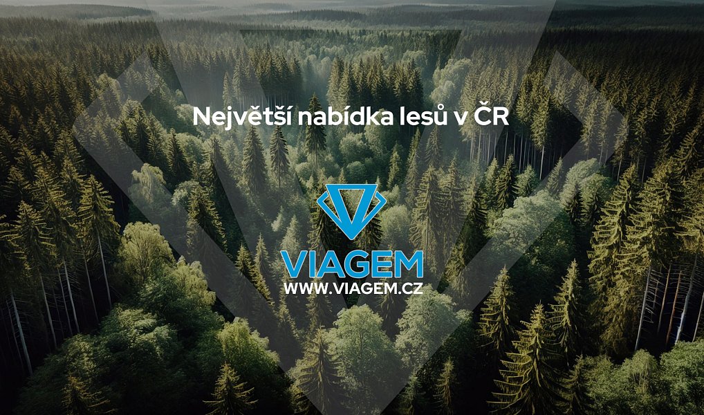 Prodej lesa 1 508 m², Ostrovec – náhled fotky 5