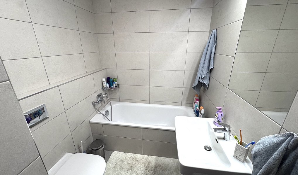 Pronájem bytu 2+kk 43 m², Praha – náhled fotky 8
