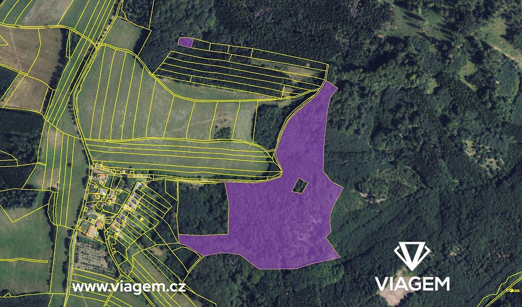 Prodej lesa 3 234 m², Městečko Trnávka – náhled fotky 4