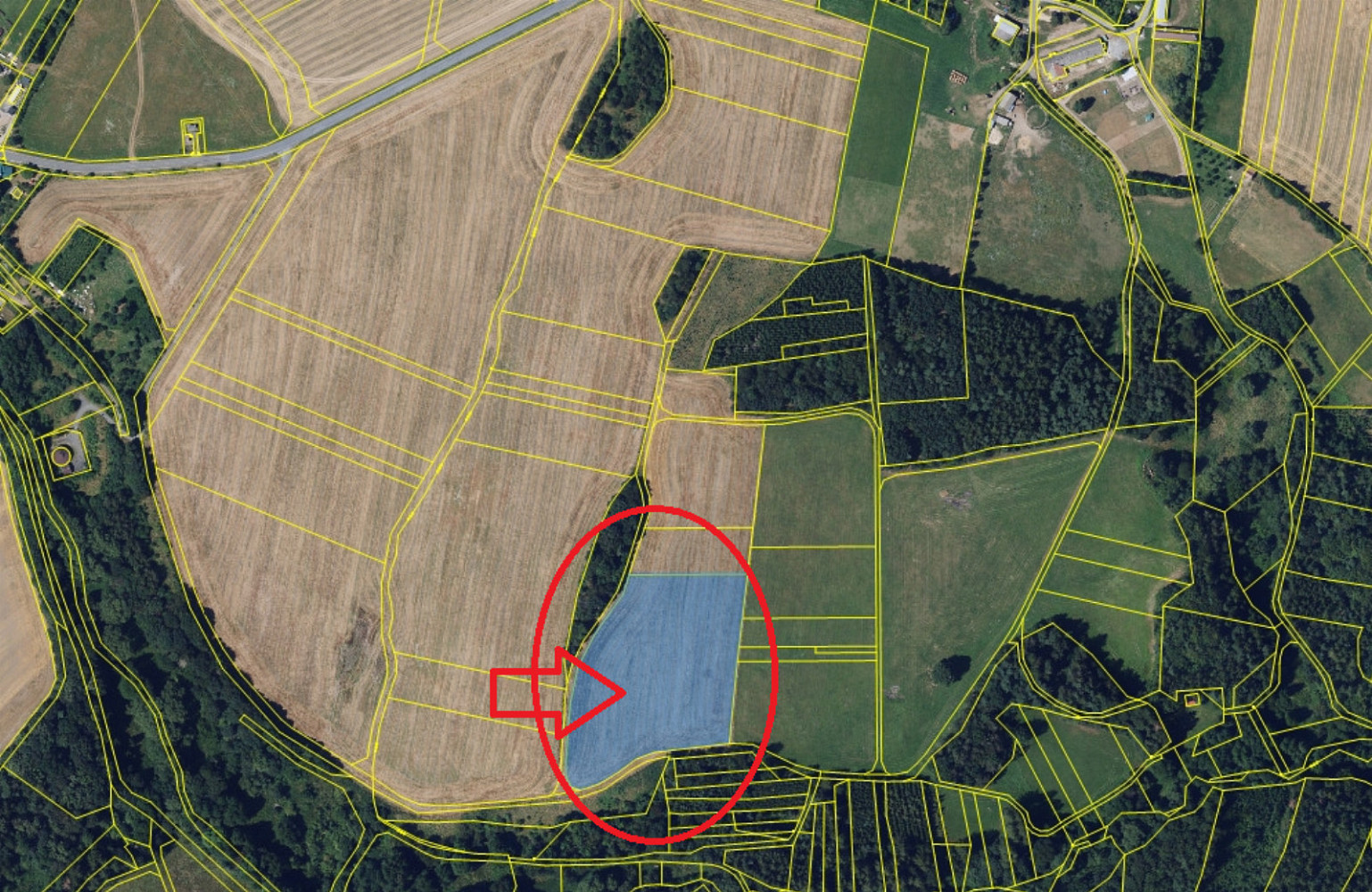 Prodej pole 4 916 m² – fotografie 3