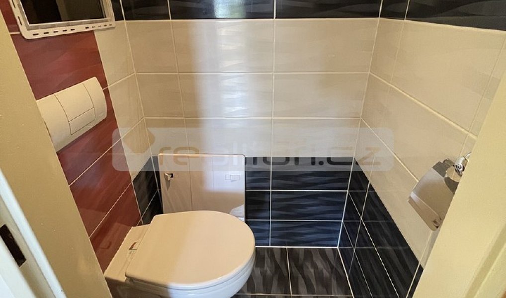 Pronájem bytu 2+1 50 m², Plzeň – náhled fotky 17