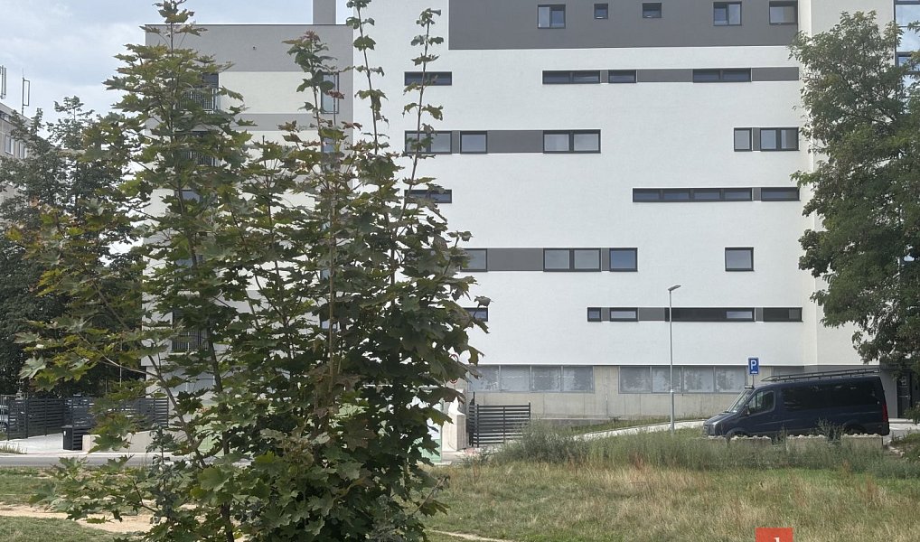 Pronájem komerčního pozemku 1 698 m², Hradec Králové – náhled fotky 3