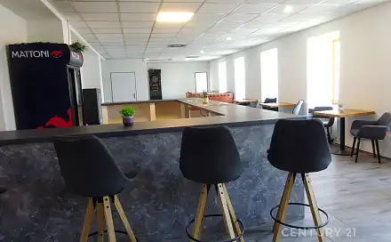 Pronájem komerčního objektu (jiného typu) 253 m²