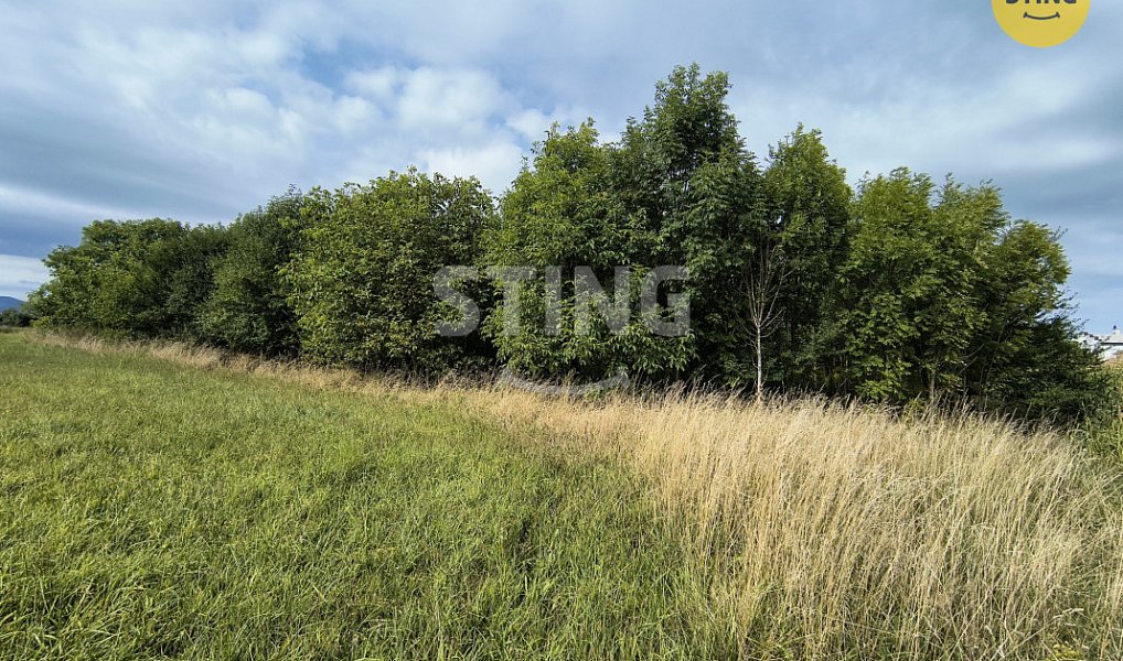 Prodej stavebního pozemku 5 732 m², Třinec – náhled fotky 5