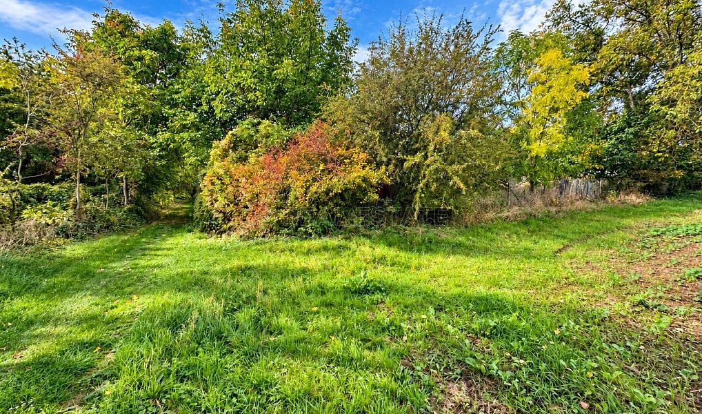 Prodej zahrady 823 m², Medlov – náhled fotky 3