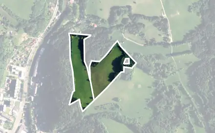 Prodej louky 85 617 m², Pod Rýchorami, Svoboda nad Úpou, okres Trutnov