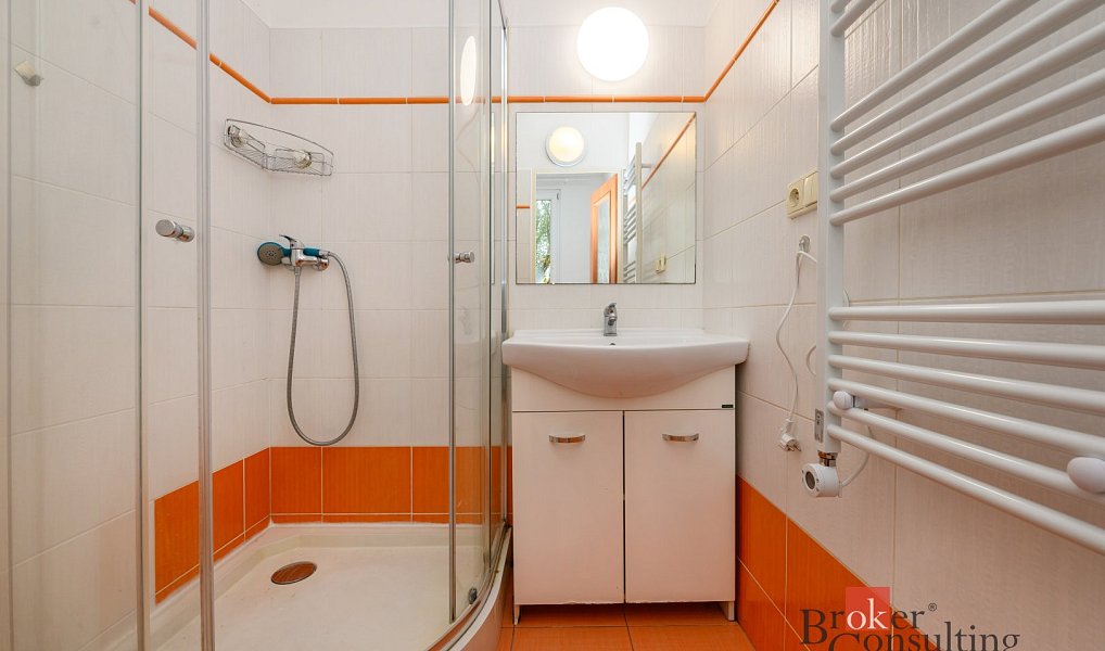 Pronájem bytu 2+1 60 m², Plzeň – náhled fotky 8