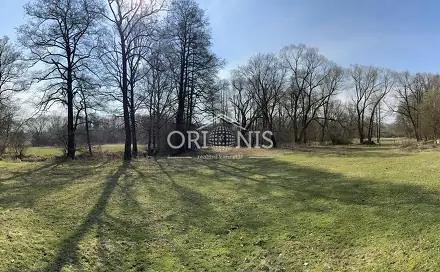 Prodej komerčního pozemku 16 901 m², Dolní Cerekev, okres Jihlava