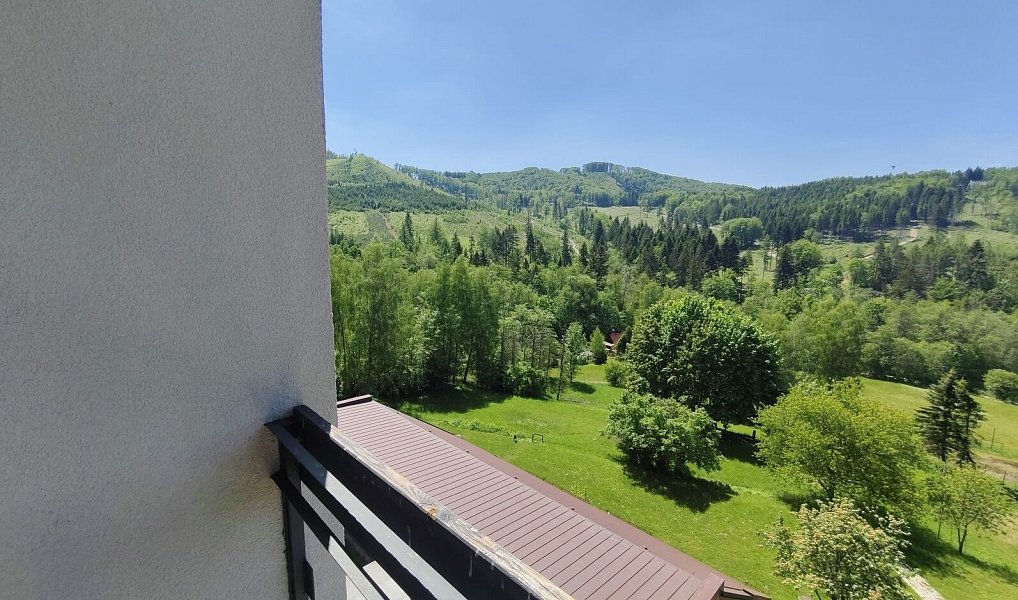 Prodej ubytovacího objektu 12 866 m², Rajnochovice – náhled fotky 4