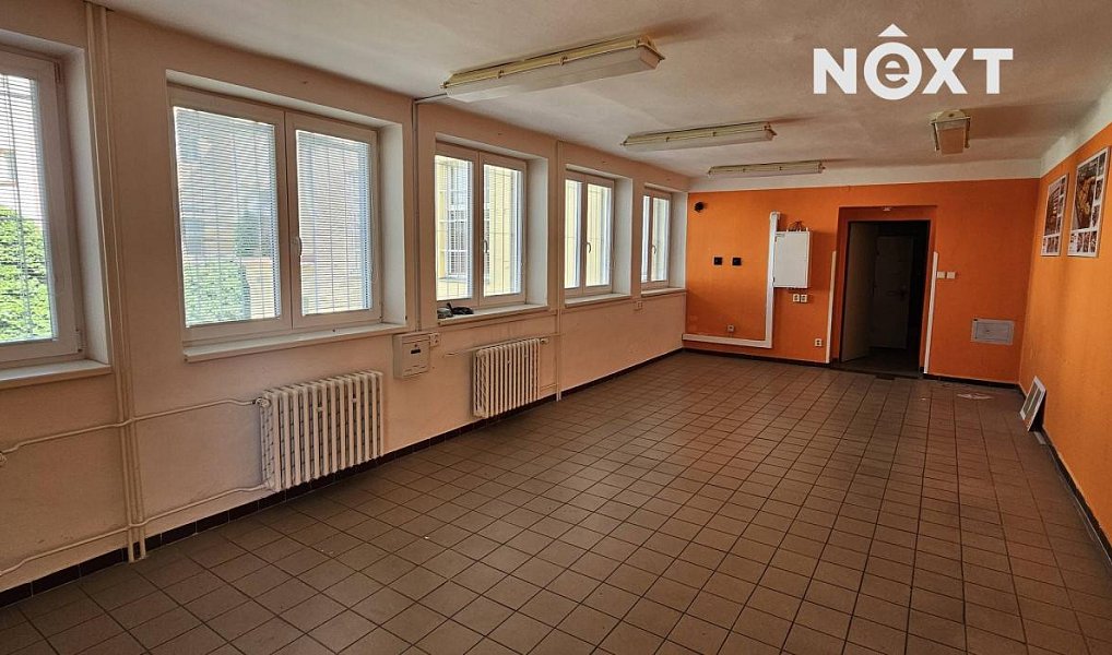 Pronájem obchodních prostor 2 000 m², Tábor – náhled fotky 6
