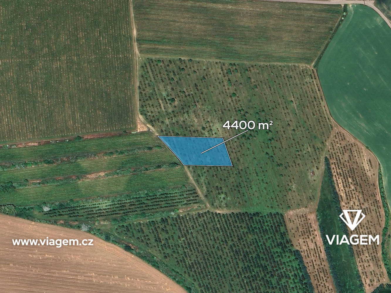 Prodej pole 1 760 m² – fotografie 2