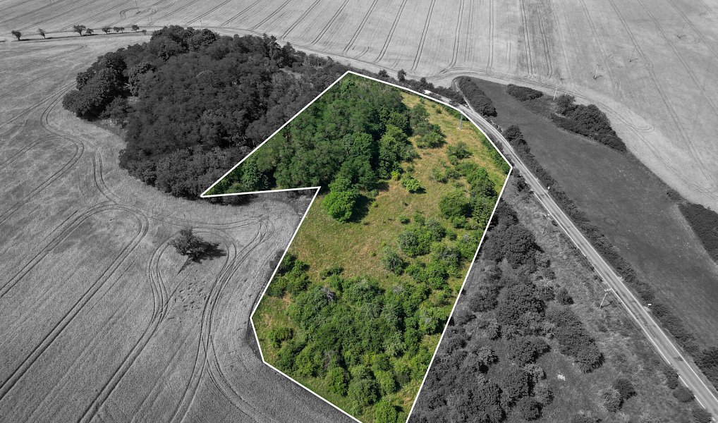 Prodej zahrady 16 882 m², Zvíkovec – náhled fotky 5