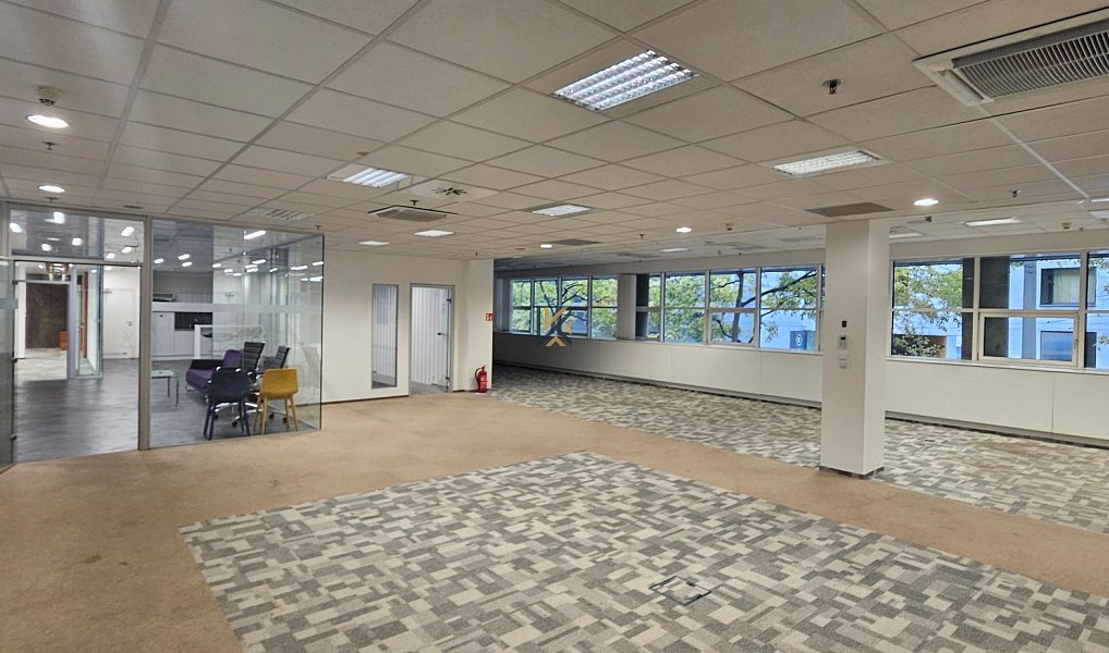 Pronájem kanceláře 2 344 m², Praha – náhled fotky 6