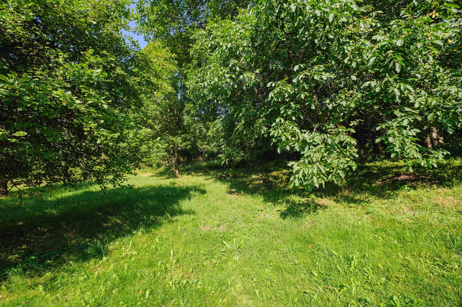 Prodej stavebního pozemku 4 188 m² – fotografie 4
