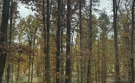 Prodej pozemku 43 384 m², Dolní Lukavice - Nýřany