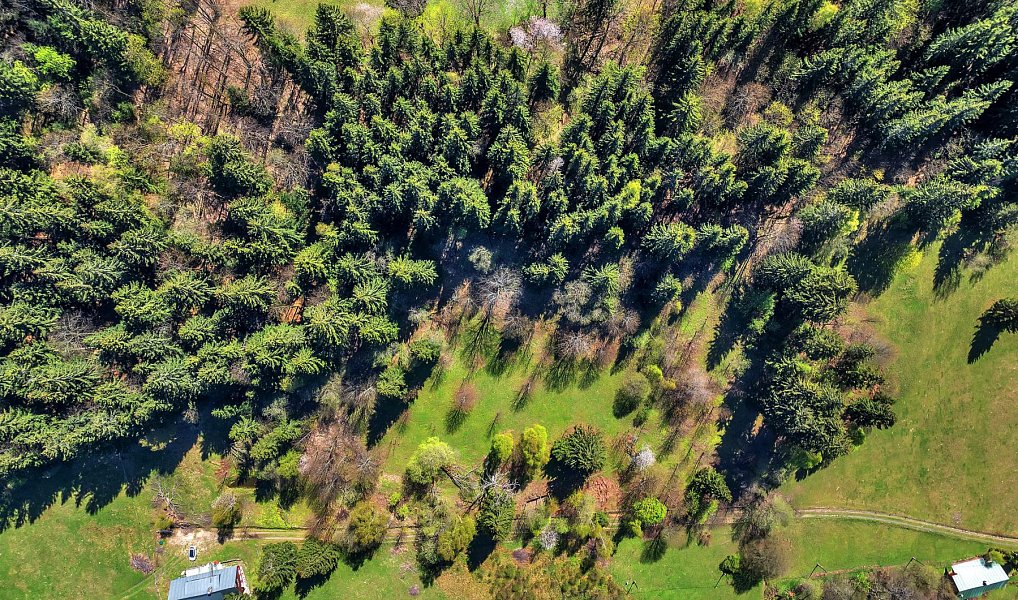 Prodej stavebního pozemku 21 708 m², Vítkovice – náhled fotky 5