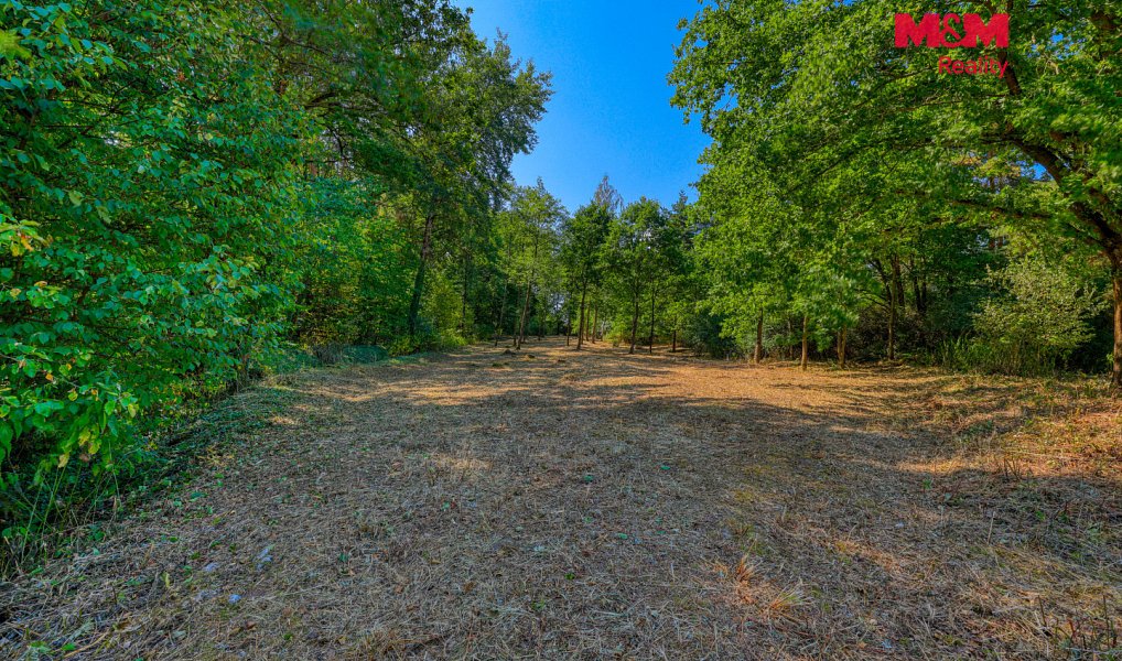 Prodej zahrady 2 248 m², Velký Bor – náhled fotky 6
