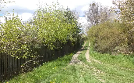 Prodej pozemku 3 225 m², Vítkov, okres Opava