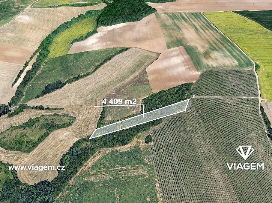 Prodej lesa 1 102 m²