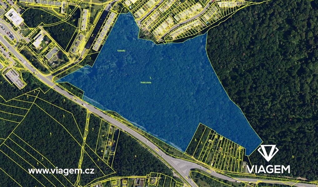 Prodej lesa 5 730 m², Brno – náhled fotky 3