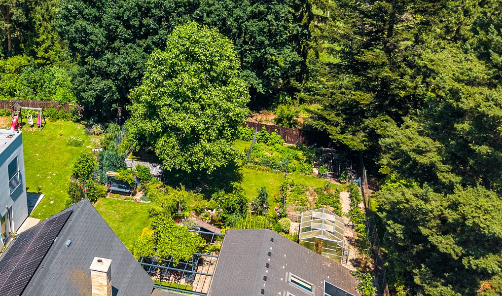 Prodej domu 280 m² s pozemkem 939 m², Světice – náhled fotky 55