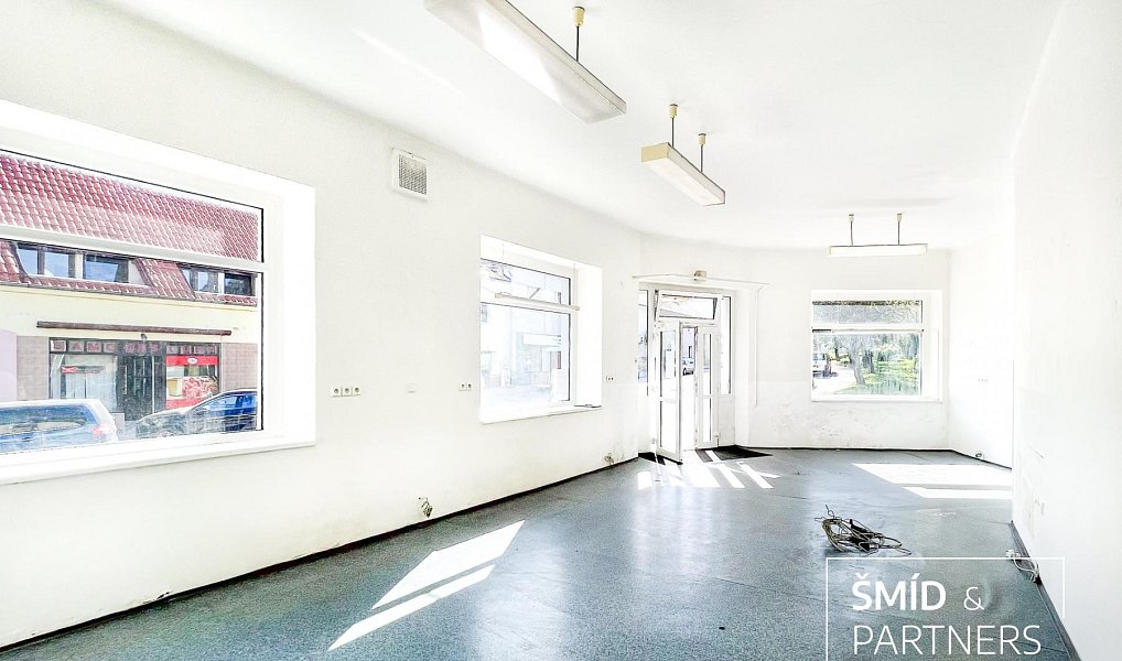 Prodej domu 540 m² s pozemkem 284 m², Zásmuky – náhled fotky 7