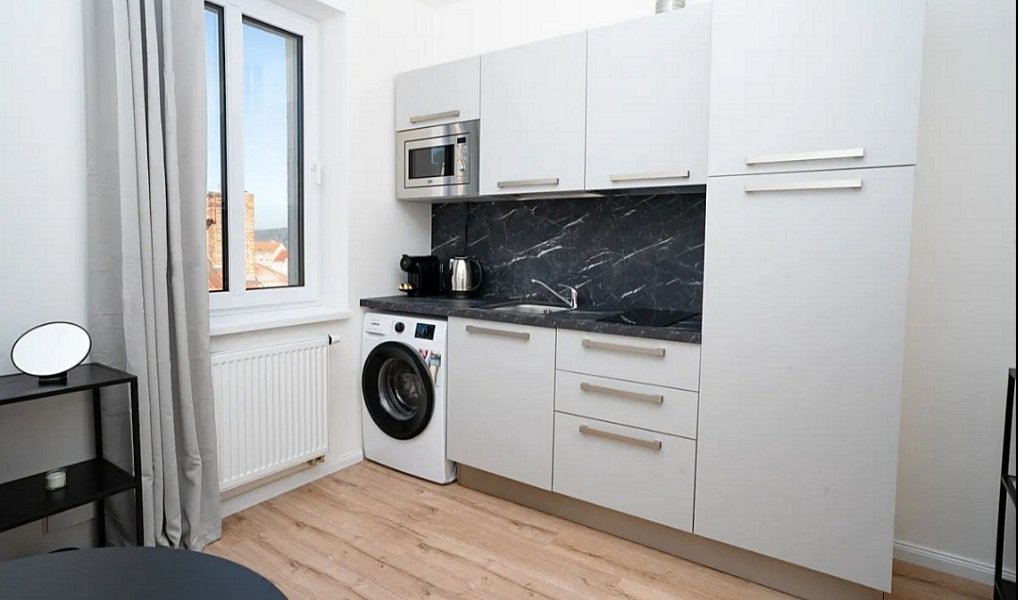 Pronájem bytu 1+1 35 m², Plzeň – náhled fotky 8