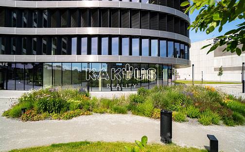 Pronájem obchodních prostor 378 m², náměstí Biskupa Bruna, Ostrava - Moravská Ostrava