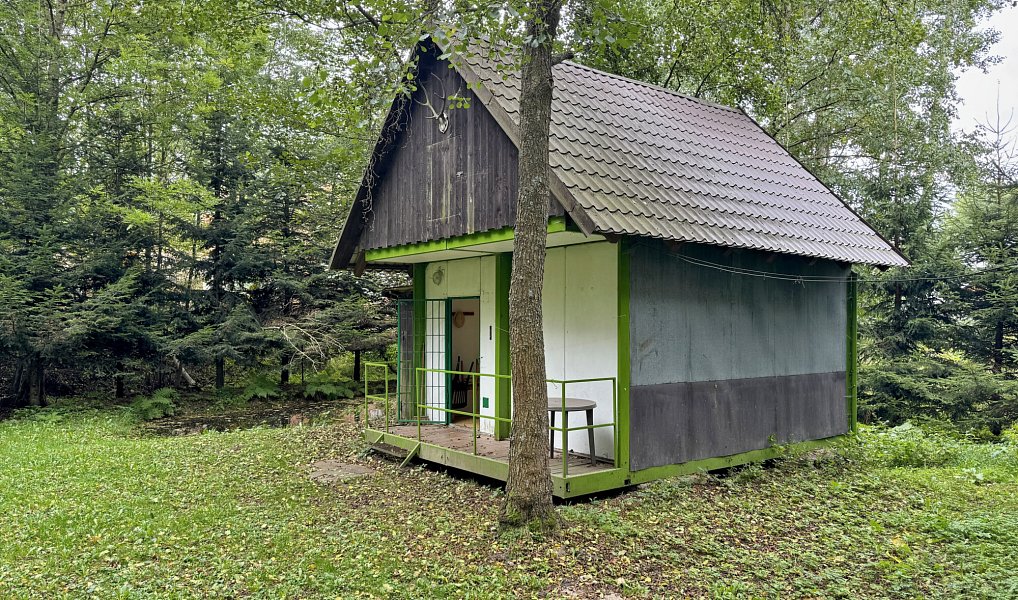 Prodej chaty/chalupy 85 m² s pozemkem 2 880 m², Loučná nad Desnou – náhled fotky 11
