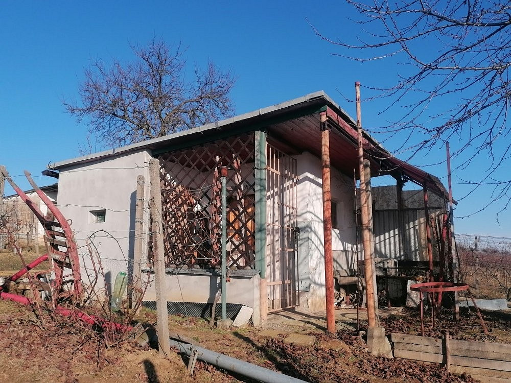 Prodej pole 2 596 m² – fotografie 5