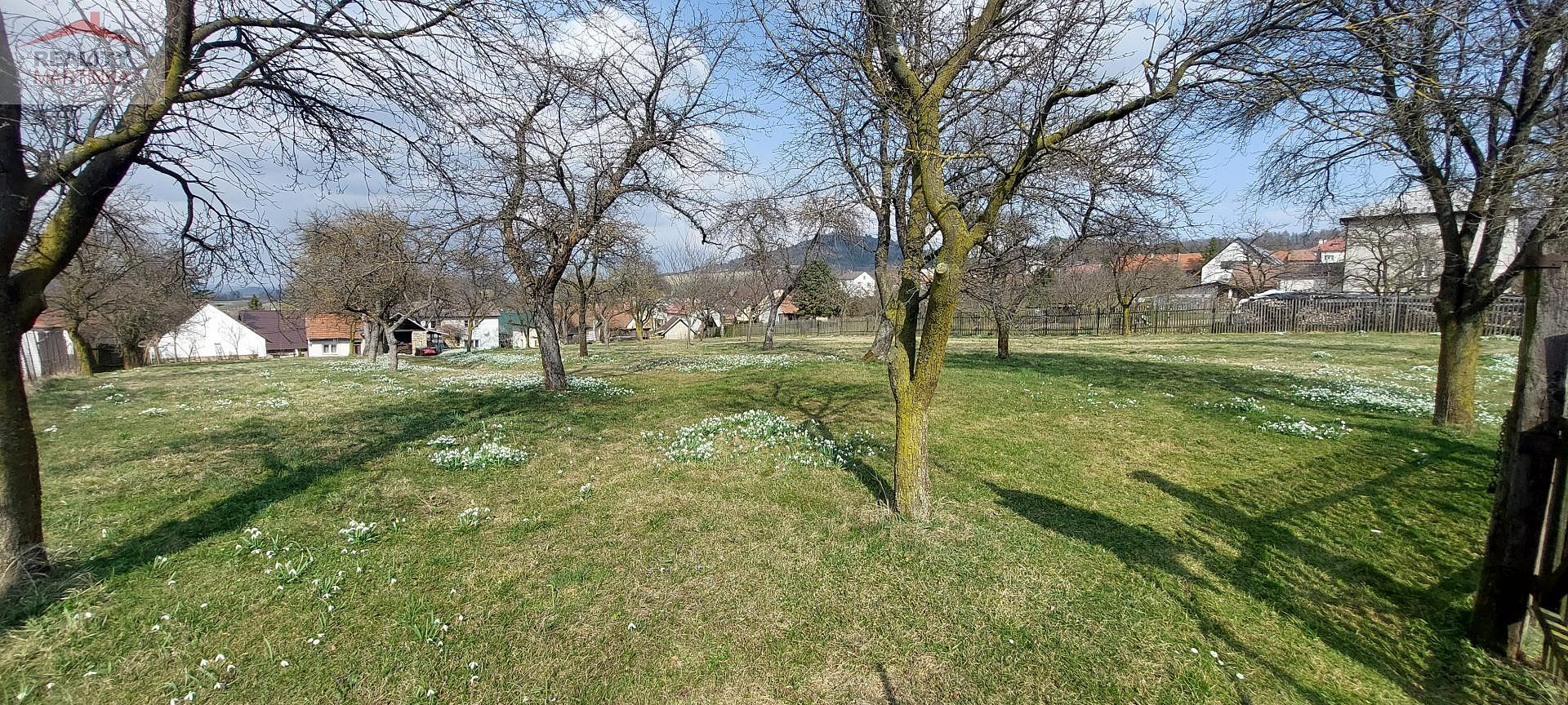 Fotka 15 z 16